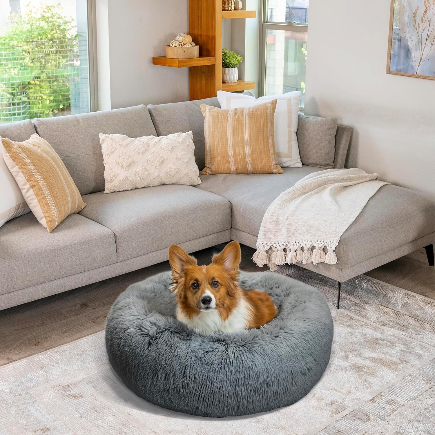 A corgi dog lying in the grey donut pet bed, which is placed on a rug in a modern living room next to a grey sectional sofa.