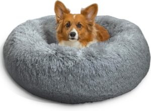 A studio shot of a brown and white corgi dog resting comfortably in a fluffy, grey, round donut-style calming pet bed on a white background.