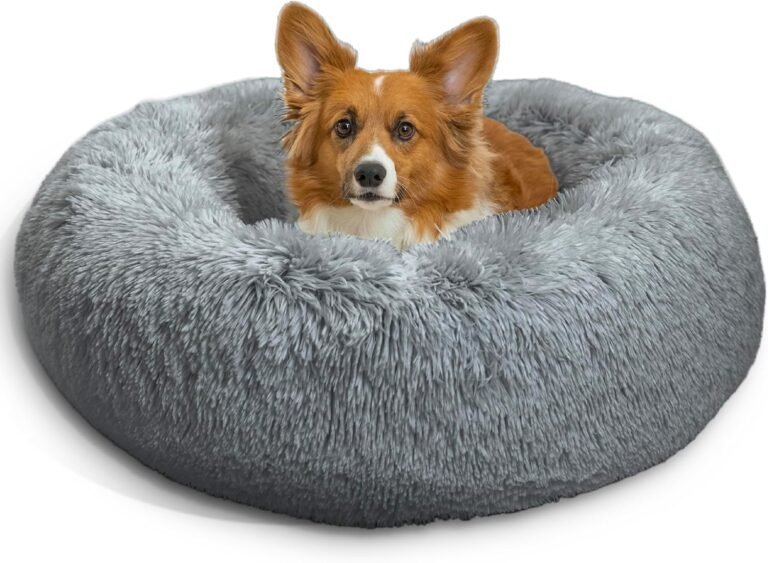 A studio shot of a brown and white corgi dog resting comfortably in a fluffy, grey, round donut-style calming pet bed on a white background.
